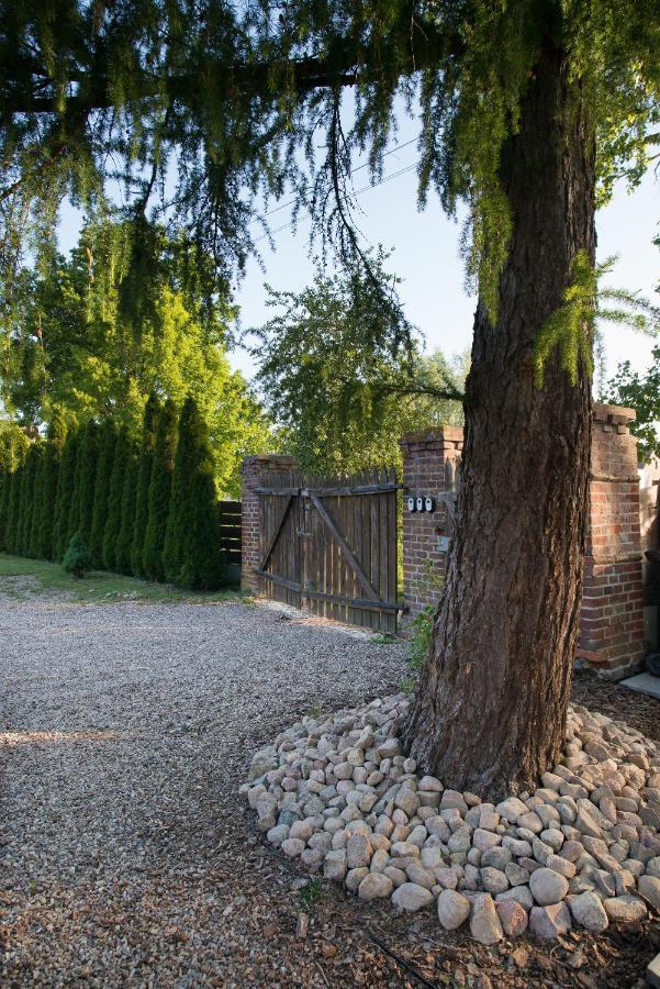 Rokitnica 37 Villa Несулице Екстериор снимка